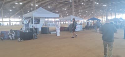 Austin Chicken Wing Festival 2025 - Photo 19